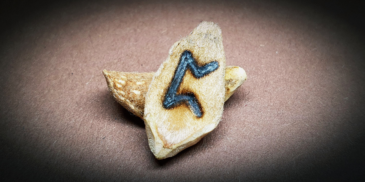 Rune gebrannt auf Bucheckern-Schalen einzelne Ansicht