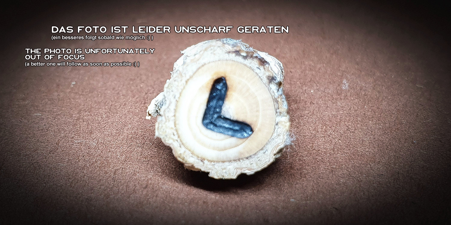 Reiserunen gebrannt auf Rotfichtenholz einzelne Ansicht