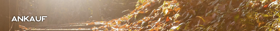 Ankauf Holzscheiben Header